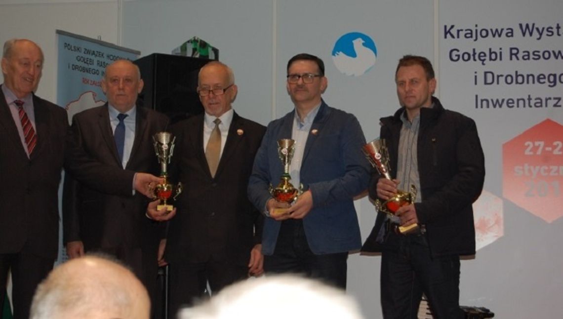 Zamość: Hodowcy gołębi wrócili z medalami