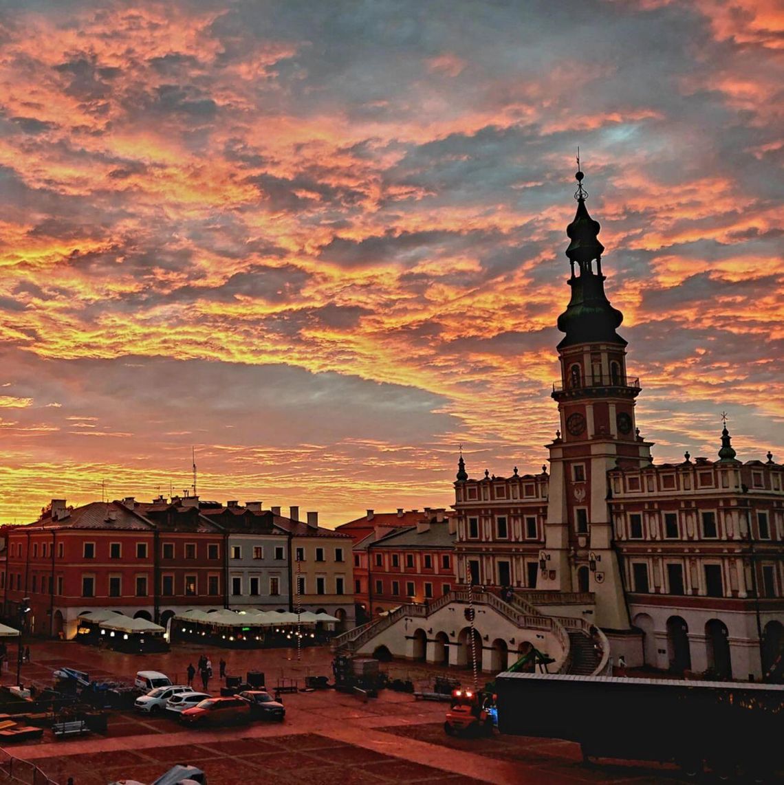 Zamość: Kino na Rynku Wielkim! Obejrzymy dwa seanse Rynek Wielki w Zamościu zamieni się w plenerowe kino.