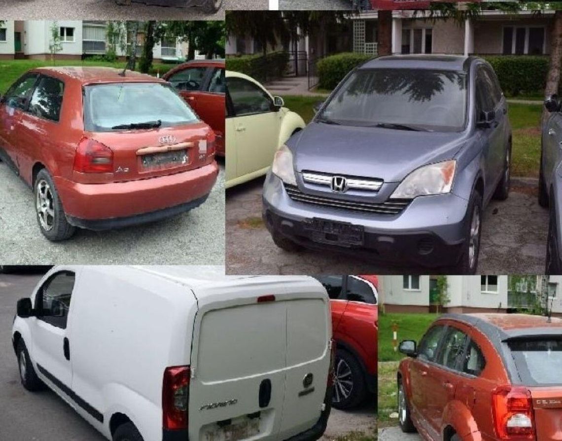 23-latek z Zamościa odpowie za kradzież tablic rejestracyjnych.