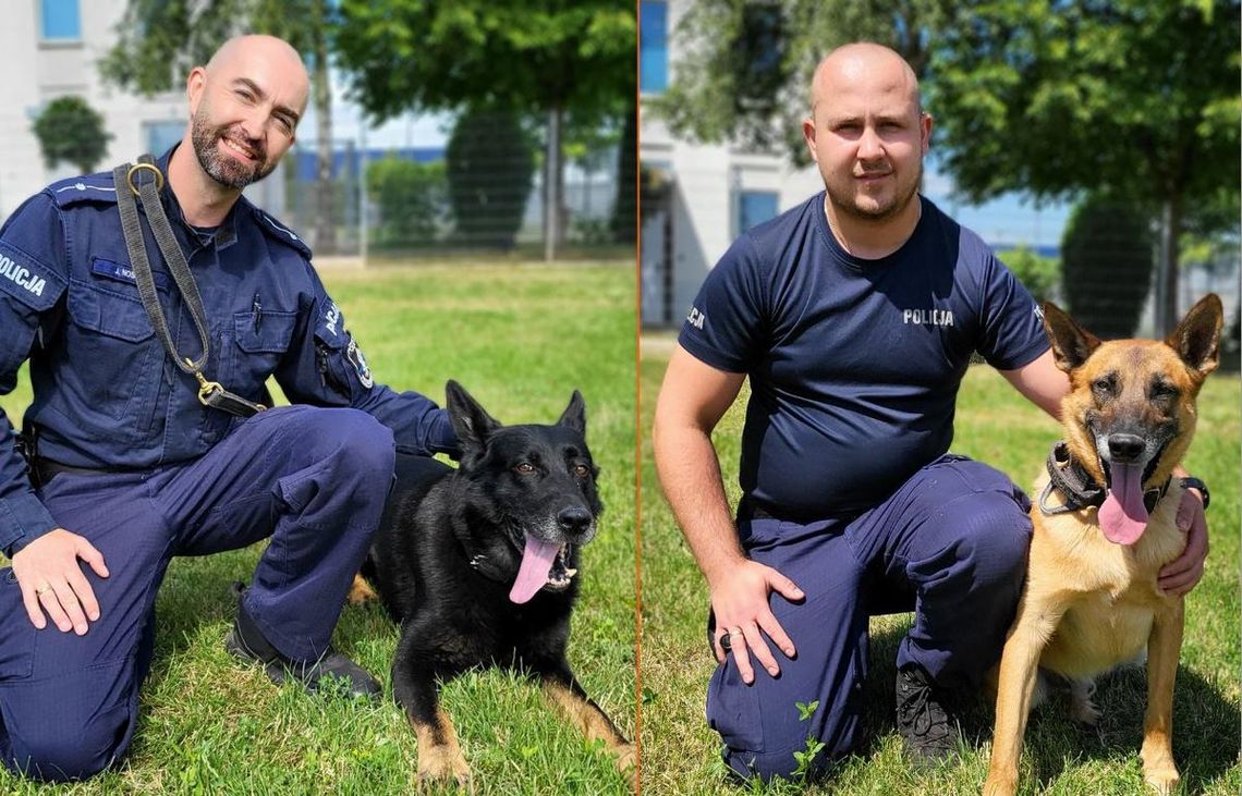 30 czerwca odbyły się wojewódzkie eliminacje do XXII finału Kynologicznych Mistrzostw Policji SUŁKOWICE 2025. W eliminacjach udział wzięło 13 psów służbowych wraz ze swoimi przewodnikami z jednostek Policji lubelskiego garnizonu.