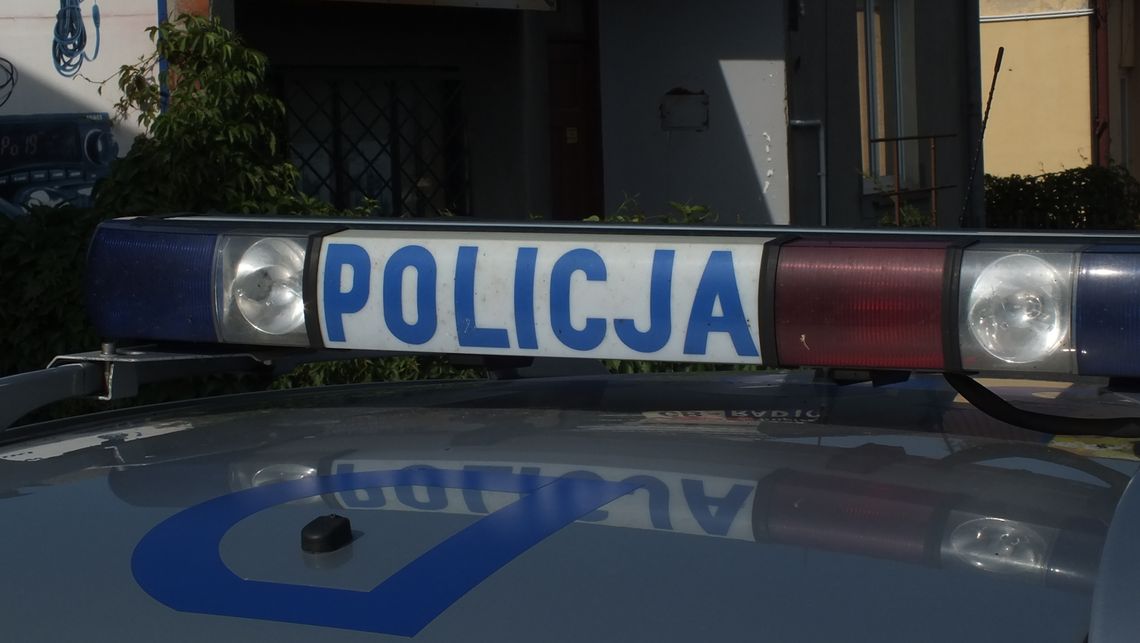 Zamość: Pies spowodował wypadek