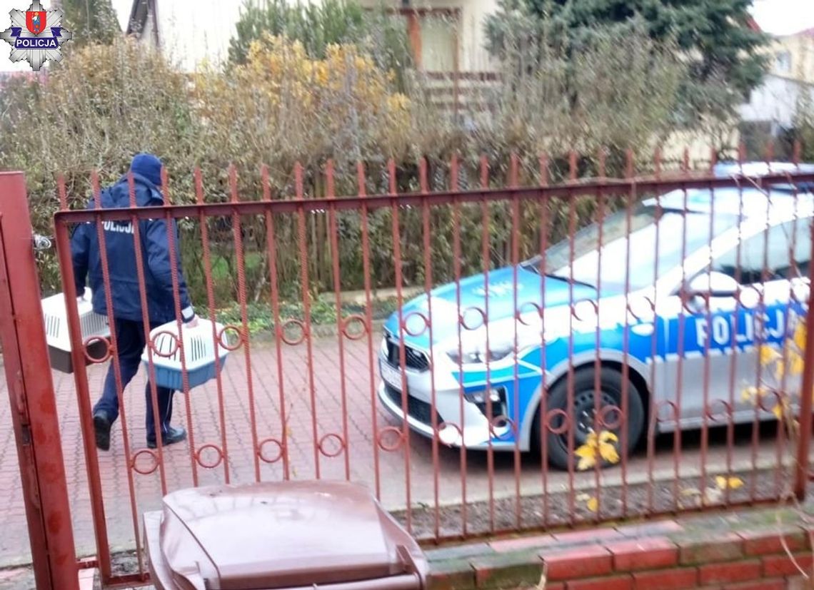 Dzielnicowi zamojskiej komendy wspólnie z przedstawicielami Inspekcji Weterynaryjnej i fundacji „Kudłaty Przyjaciel” interweniowali w pustostanie, gdzie przebywały dwa bezpańskie koty.