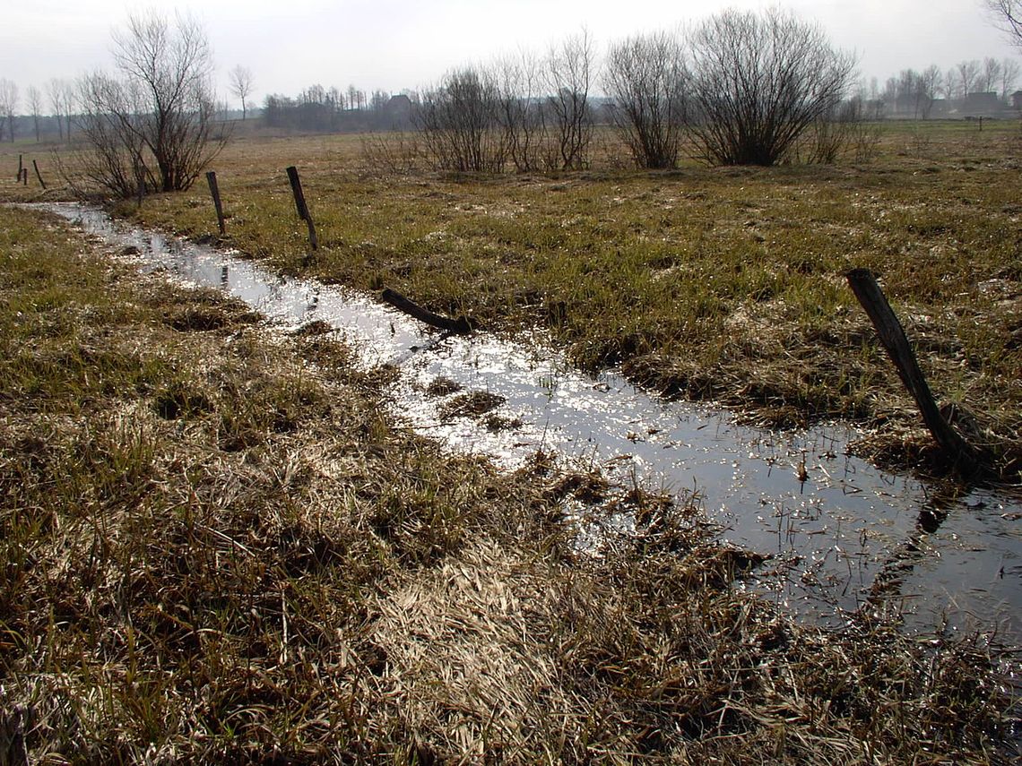 Zamość: Rowy melioracyjne będą oczyszczone