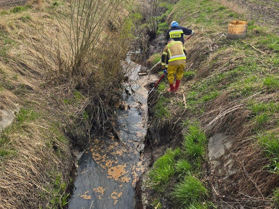 Plama na cieku wodnym na wysokości ul. Północnej w Zamościu.