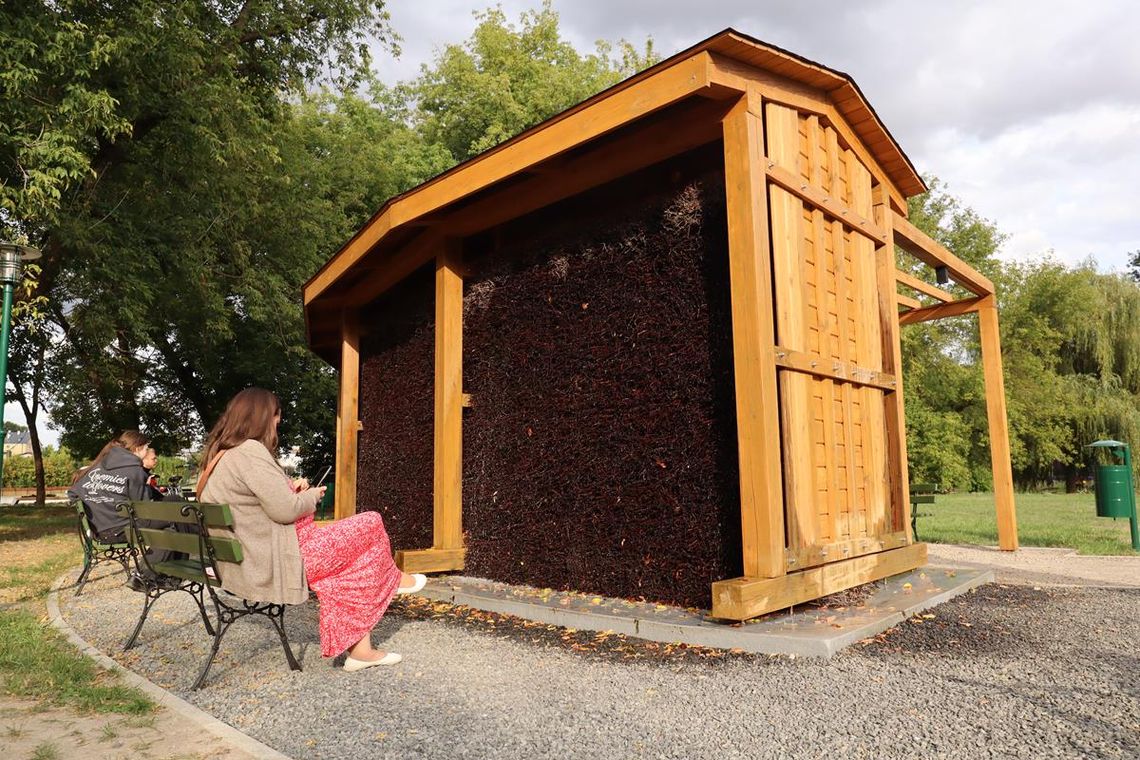 Tężnia solankowa w Zamościu.