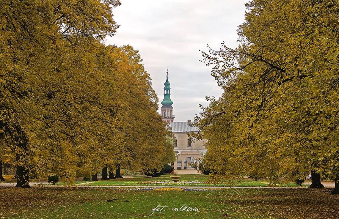 Zamość w konkursie ECO-MIASTO