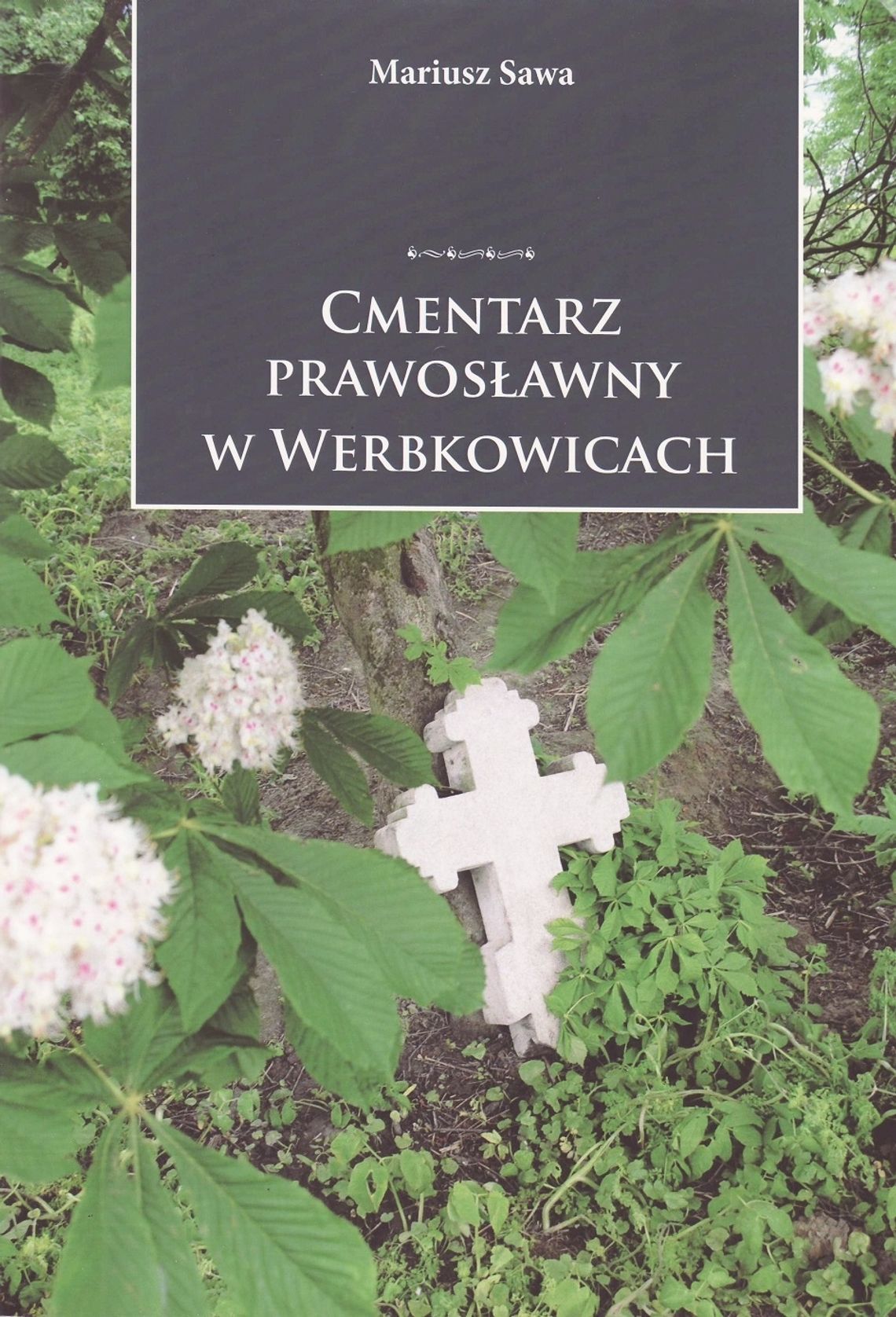 Zapomniany cmentarz w Werbkowicach