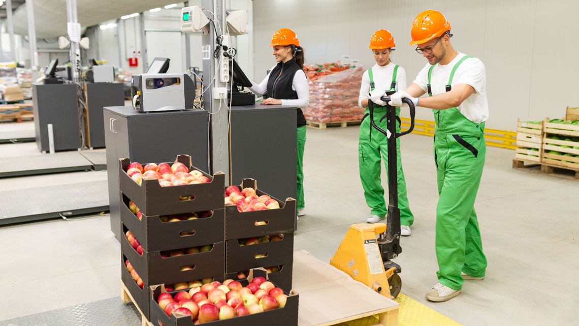 Pod koniec ubiegłego roku Eurostat opublikował dane o zarobkach w Unii Europejskiej za rok 2024.