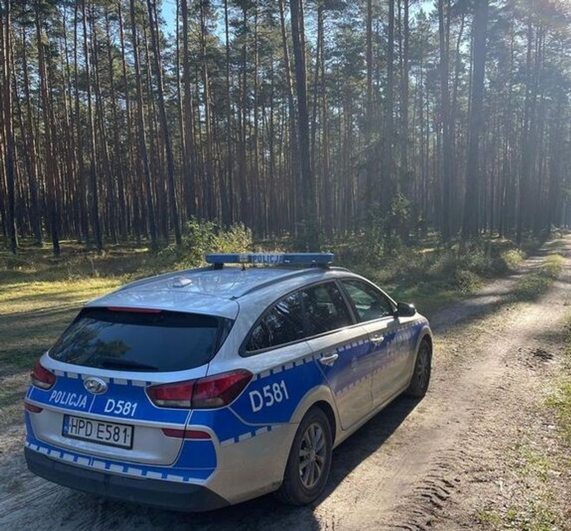 Zbierali maliny i grzyby, zaginęli w lesie. Szczęśliwy finał poszukiwań w powiecie biłgorajskim