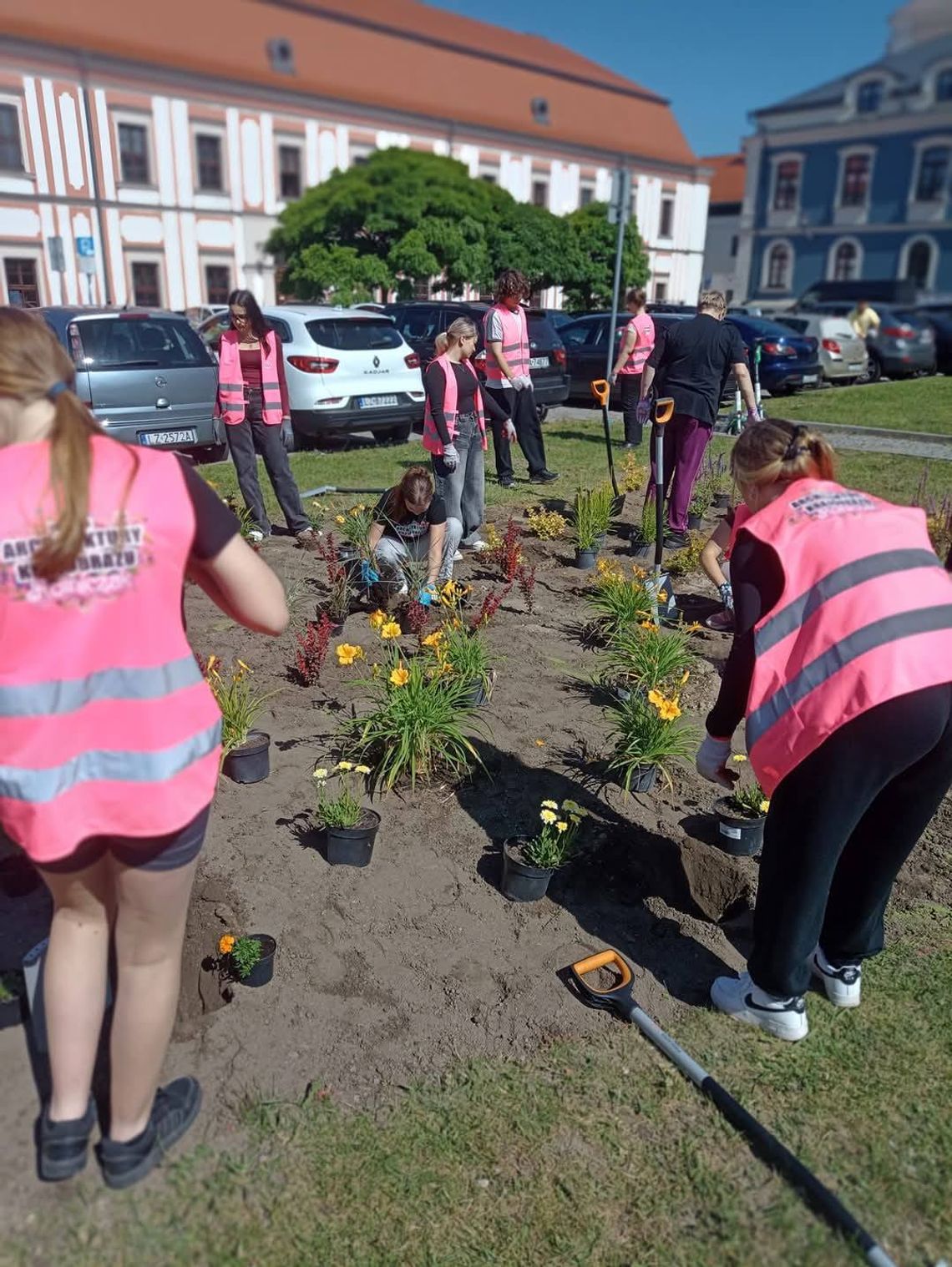 Uczniowie Zespołu Szkół Ponadpodstawowych nr 5 w Zamościu z Technikum Architektury Krajobrazu nasadzili kwiaty i byliny na klombie przy Rynku Solnym.