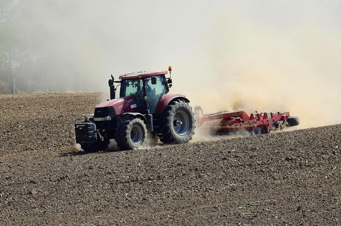Ziemia pęka, plony giną! Dramatyczny apel z Werbkowic: Żądamy stanu klęski żywiołowej! Radni z Gminy Werbkowice alarmują: "Przewidywane straty w uprawach zbóż ozimych i jarych, kukurydzy, buraków cukrowych, rzepaku oraz warzyw przekroczą w wielu miejscach od 70 do nawet 90 procent".