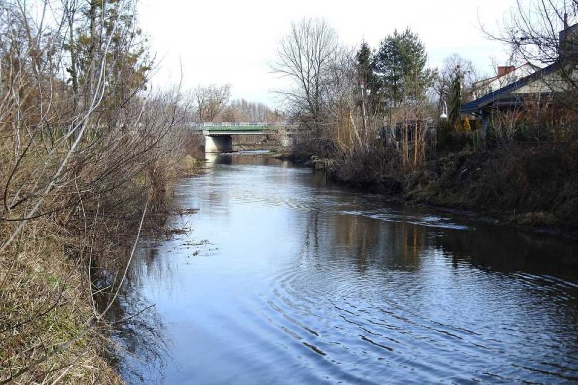 Badania ornitologiczne Maciej Wasilewski przeprowadził na Huczwie: w Gródku, Hrubieszowie, Obrowcu, Brodzicy, Podhorcach-Kolonii, Gozdowie oraz w okolicach Cukrowni „Werbkowice”.