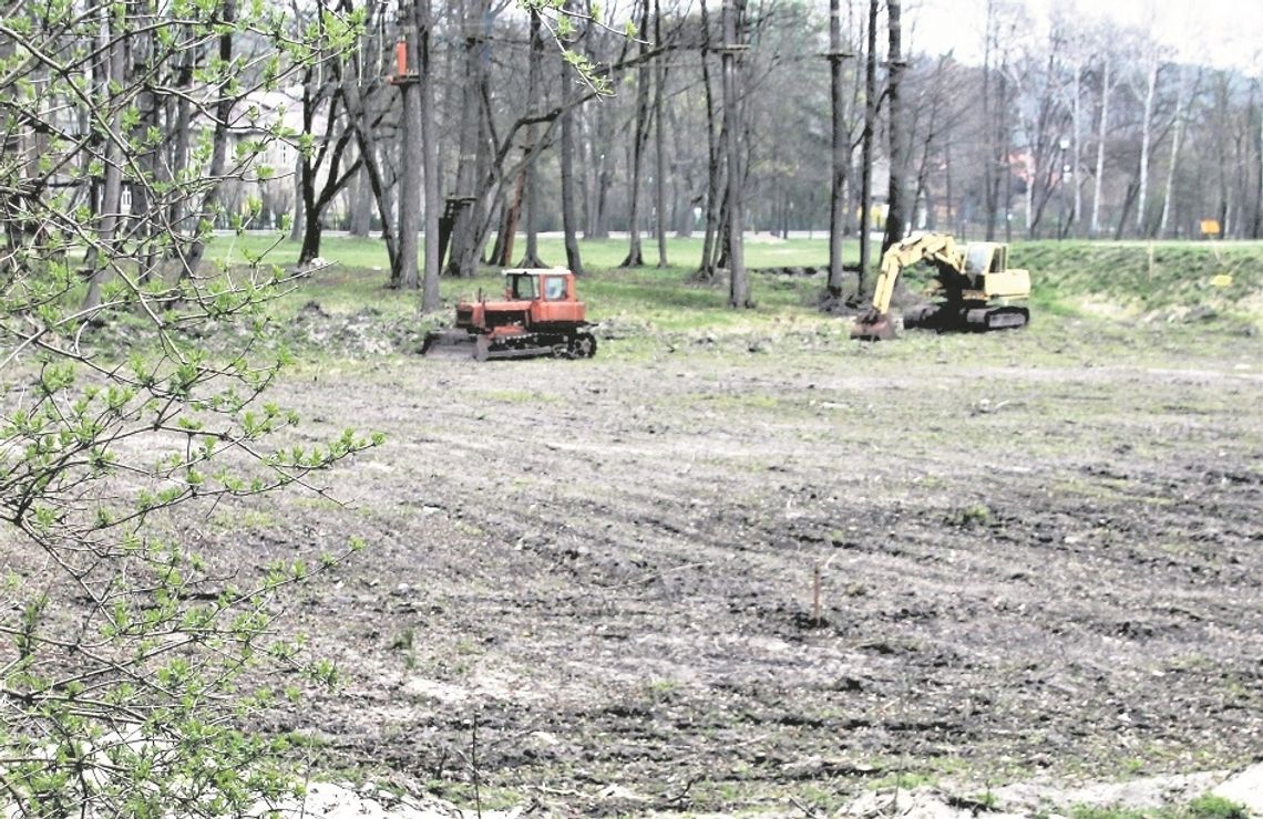 Zwierzyniec: Czekanie aż ugną się Lasy