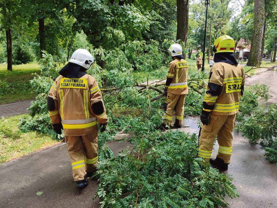 Ochotnicza Straż Pożarna w Zwierzyńcu prowadzi nabór kandydatów do służby w swojej jednostce.