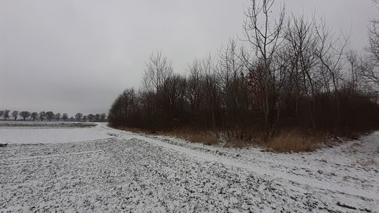 Działka rolna pod Łaszczowem