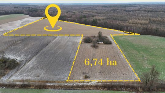 Działka rolno-siedliskowa w Modryńcu 6,74 ha Działka rolno-siedliskowa w Modryńcu 6,74 ha