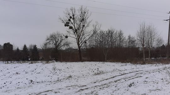 Klimatyczna działka w sercu Łaszczowa