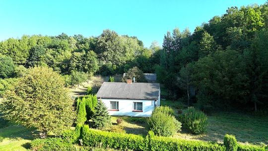 Siedlisko przy lesie w Skomorochach Dużych