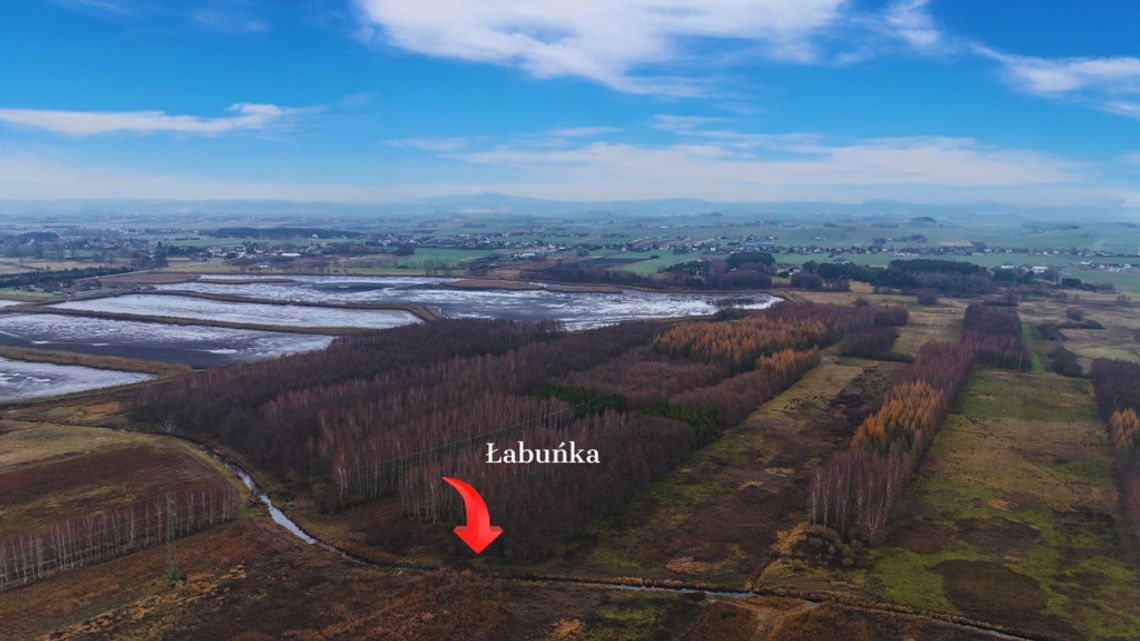 Piękna duża łąka z potencjałem w Pniówku!!