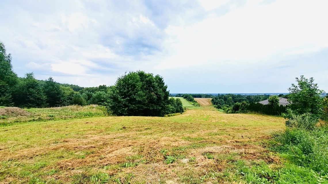 Sabaudia - działka w zielonej okolicy Sabaudia - działka w zielonej okolicy