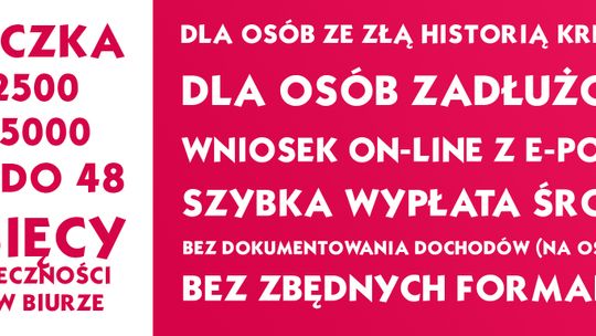 Rewelacyjna pożyczka od 2500 do 25000 PLN