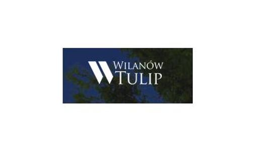 Wilanów Tulip