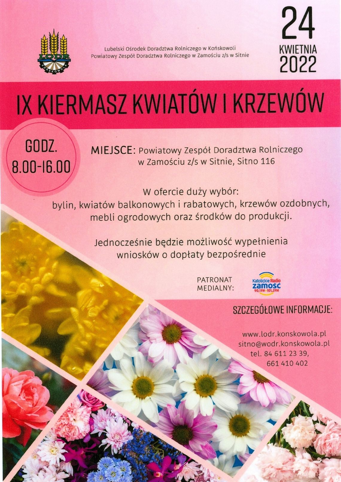 Sitno: IX Kiermasz Kwiatów i Krzewów Sitno: IX Kiermasz Kwiatów i Krzewów