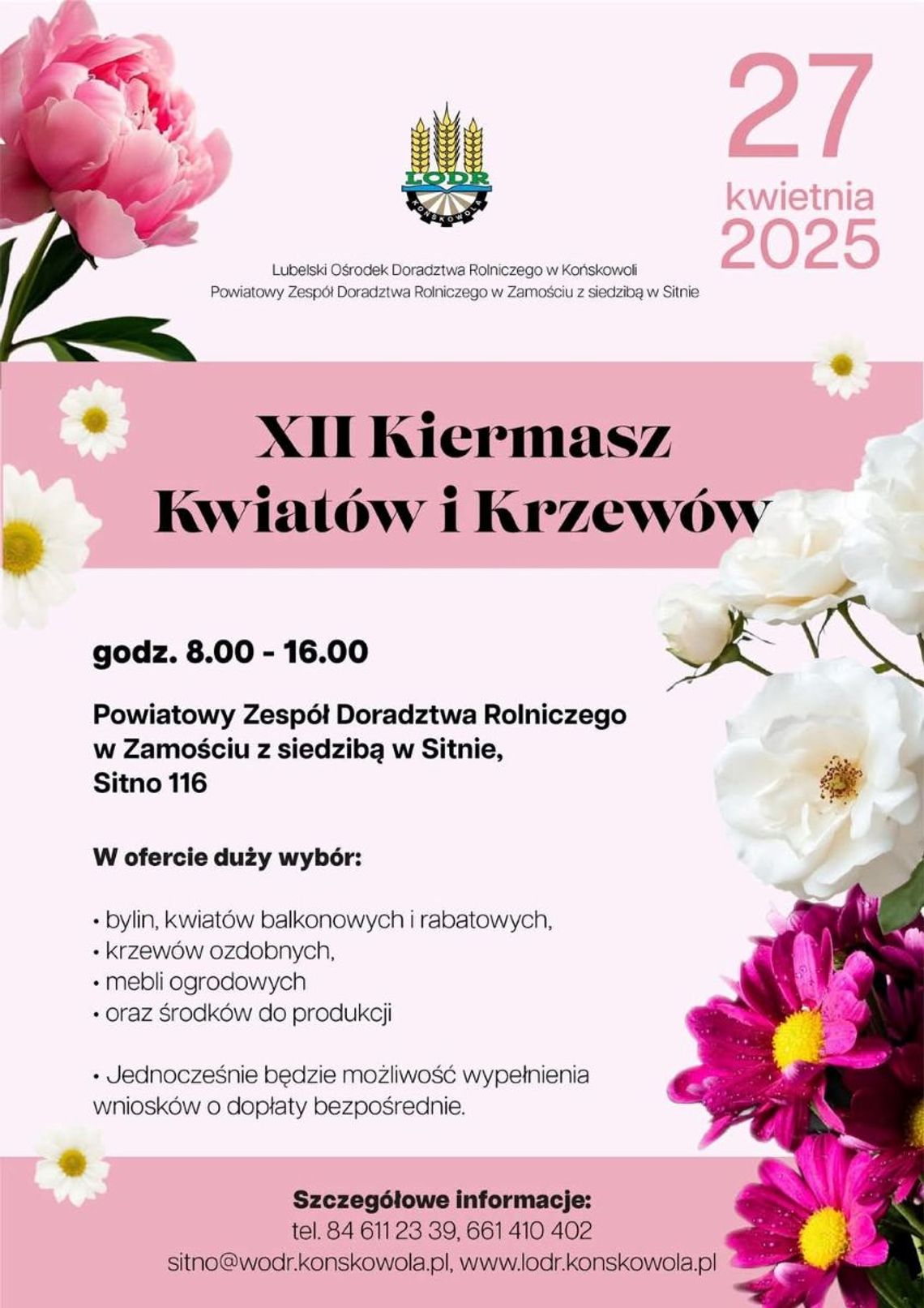 Sitno: XII Kiermasz Kwiatów i Krzewów Sitno: XII Kiermasz Kwiatów i Krzewów