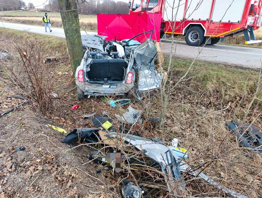 19-latek zginął na drzewie. Prawo jazdy miał od 2 miesięcy