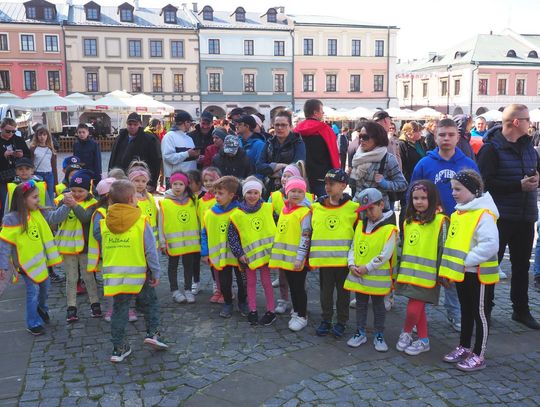 Zamość: XXI zawody modeli latających balonów na ogrzane powietrze