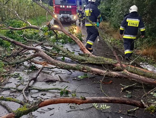 Powiat tomaszowski: Strażacy usuwali skutki burzy [ZDJĘCIA]