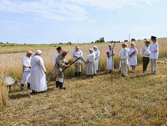 Pokaz żniwowania w Majdanie Górnym. Niesamowita podróż w czasie [ZDJĘCIA]