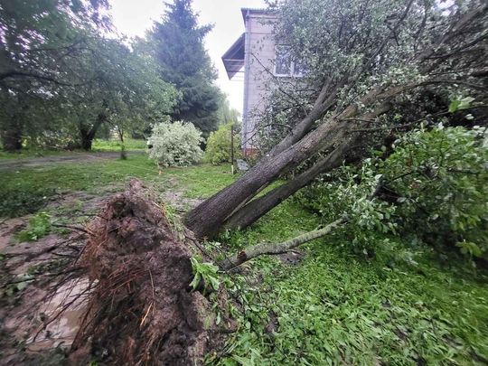 Szczebrzeszyn: Krajobraz po burzy