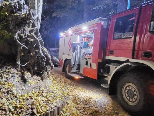 Szczebrzeszyn: W drodze na cmentarz natknęli się szczątki trzech osób w wąwozie!