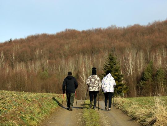 Zimowy Bieg Chrząszcza w Kawęczynku - galeria zdjęć