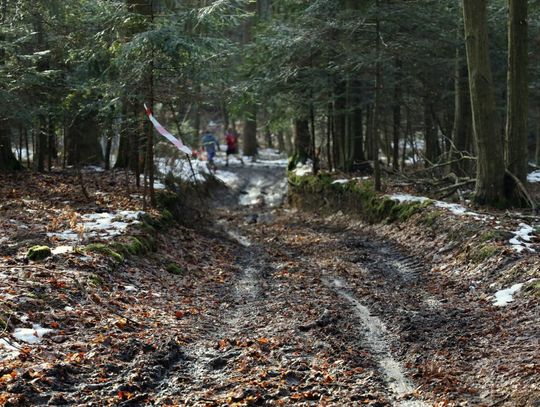 Zimowy Bieg Chrząszcza w Kawęczynku - galeria zdjęć
