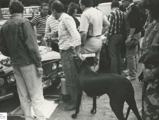 Zamość na archiwalnych fotografiach: Stary bazarek przy parku - galeria zdjęć