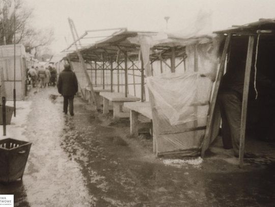 Zamość na archiwalnych fotografiach: Stary bazarek przy parku - galeria zdjęć