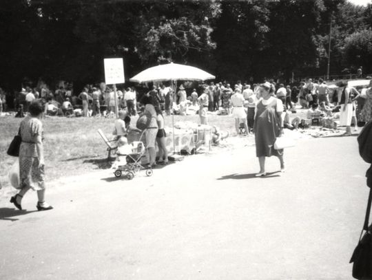 Zamość na archiwalnych fotografiach: Stary bazarek przy parku - galeria zdjęć