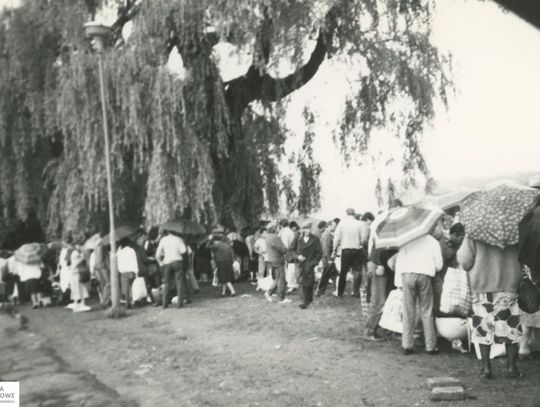 Zamość na archiwalnych fotografiach: Stary bazarek przy parku - galeria zdjęć