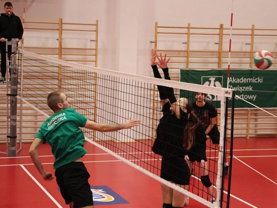 Turniej Piłki Siatkowej o Puchar Akademii Zamojskiej - galeria zdjęć