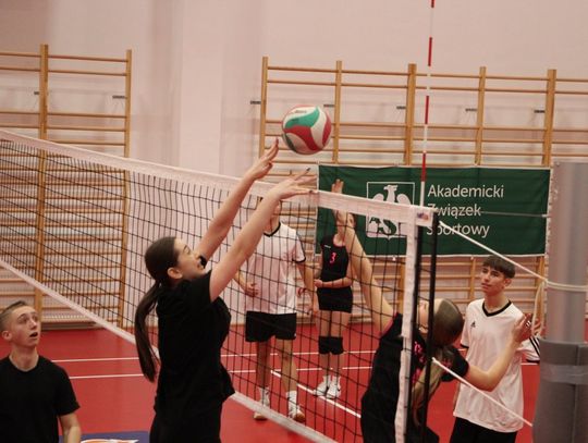 Turniej Piłki Siatkowej o Puchar Akademii Zamojskiej - galeria zdjęć