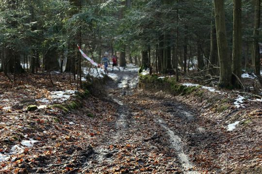Zimowy Bieg Chrząszcza w Kawęczynku - galeria zdjęć