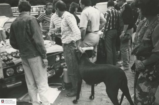 Zamość na archiwalnych fotografiach: Stary bazarek przy parku - galeria zdjęć