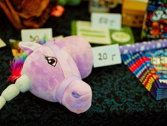 Finał WOŚP w gminie Zamość - galeria zdjęć