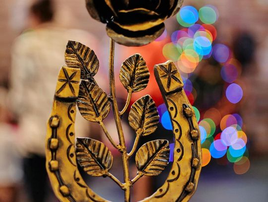 Finał WOŚP w gminie Zamość - galeria zdjęć