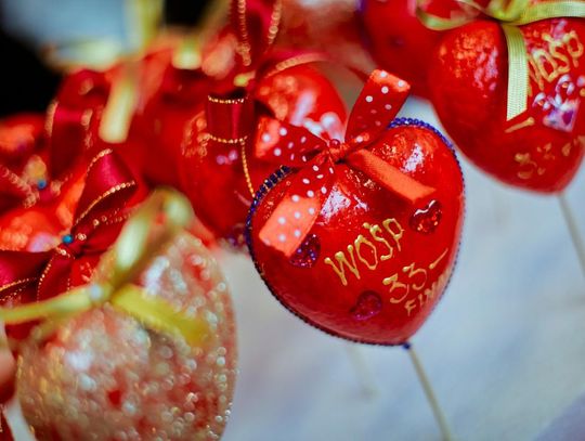 Finał WOŚP w gminie Zamość - galeria zdjęć