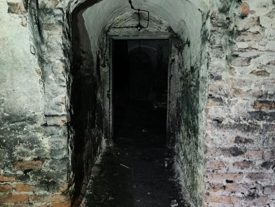 Zamość: Pałac Zamoyskich czeka na remont - galeria zdjęć