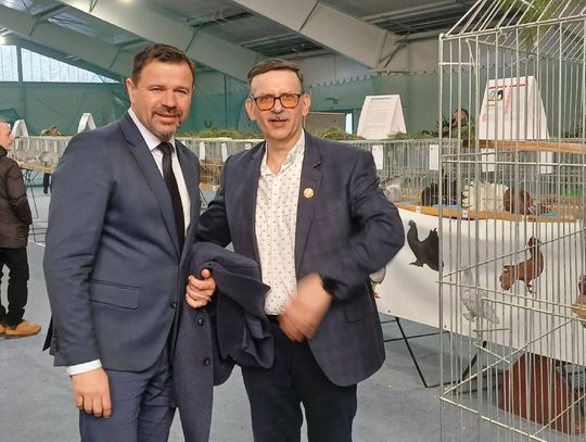 XIV Wystawa Gołębi Rasowych i Drobiu Ozdobnego w Zamościu - zobacz zdjęcia