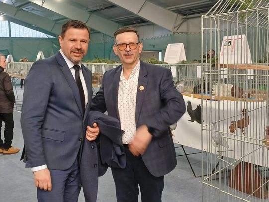 XIV Wystawa Gołębi Rasowych i Drobiu Ozdobnego w Zamościu - zobacz zdjęcia